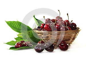 Cherries