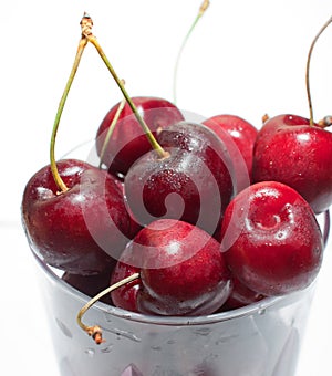 Cherries photo