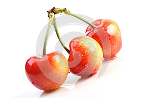 Cherries