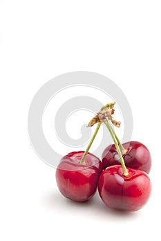 Cherries