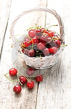 Cherries