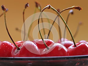 Cherries