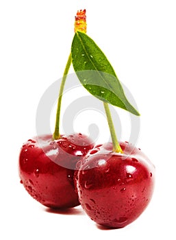 Cherries