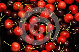 Cherries