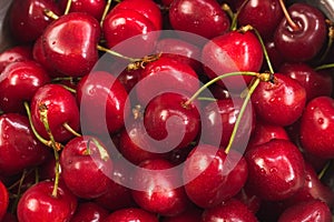 Cherries photo