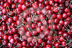 Cherries background