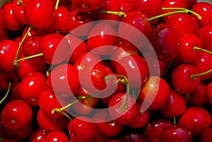 Cherries background