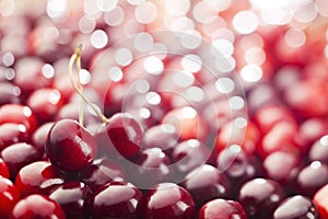Cherries background