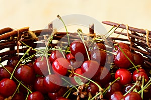 Cherries in basket
