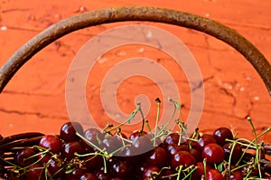 Cherries in basket