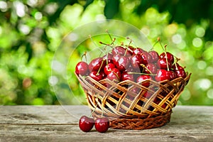 Cherries in basket on table in garden