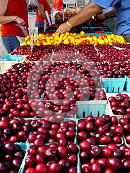 Cherries at farmers' market