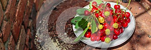 Cherries, fruit berries, harvest ripe and juicy fruits. top copy space. food background