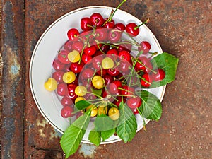 Cherries, fruit berries, harvest ripe and juicy fruits. top copy space. food background