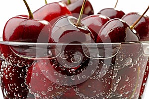 Cherries in a Glass