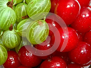 Cherries and gooseberries 1