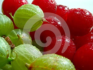 Cherries and gooseberries 4