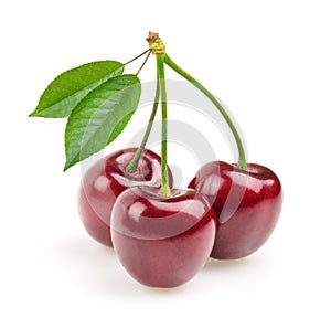 Cherries isolated