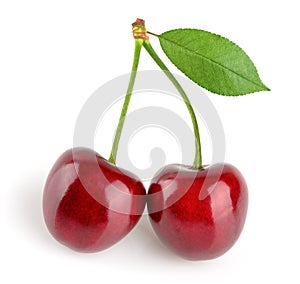 Cherries isolated