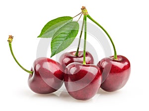 Cherries isolated