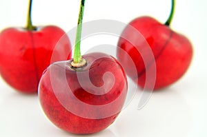 Cherries isolated