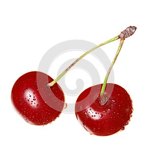 Cherries isolated on white