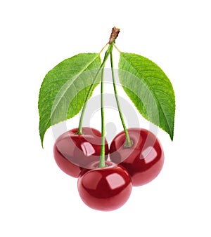 Cherries isolated on white