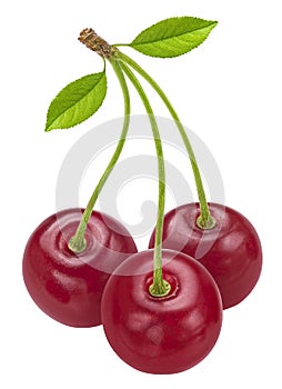 Cherries isolated on white background