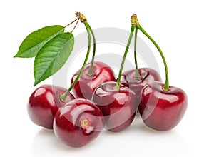 Cherries isolated photo