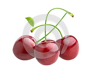Cherries isolated on white background with clipping path