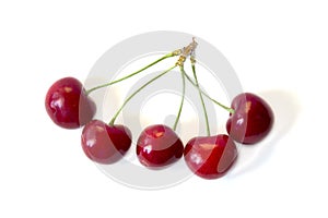 CHERRIES ISOLATED WHITE BACKGROUND