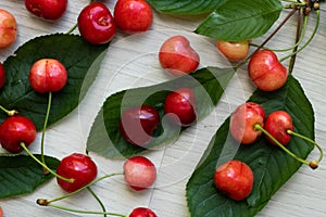 Cherries with leaves and stalks, scattered on a light background