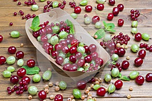 Cherries, red currants and green gooseberries in disposable cardboard plate