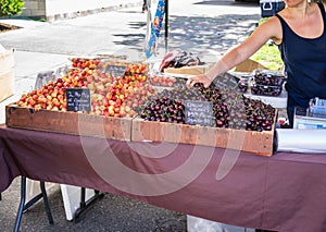 Cherries for sale