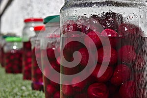 Cherries in solar jars preserve