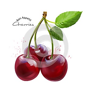 Cherries and splashes of watercolor painting