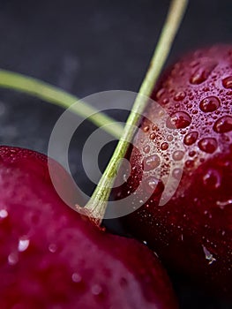 Cherries in water drops macro close up. Fresh and ripe cherry berries, macro image, selective focus