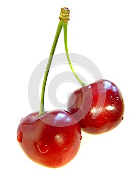 Cherry