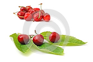 Cherry