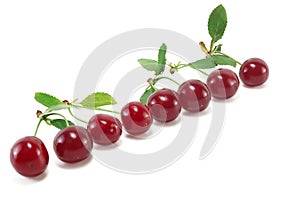 Cherry