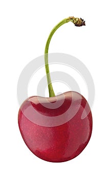 Cherry