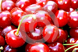 Cherry