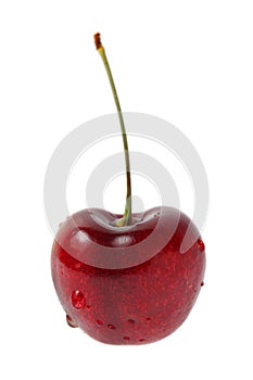 Cherry