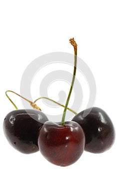 Cherry photo