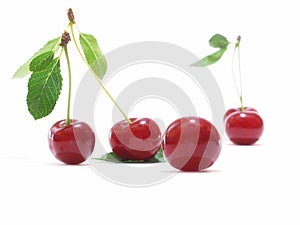 Cherry