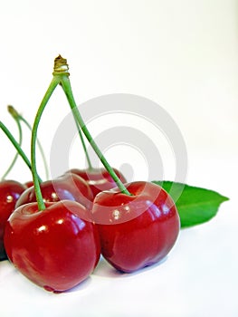 Cherry