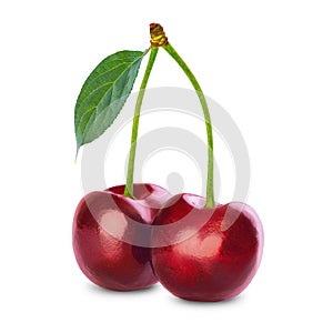 cherry