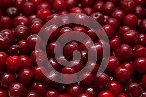 Cherry background