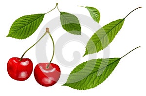 Cherry berry with green leaves set isolated on white background for packaging design