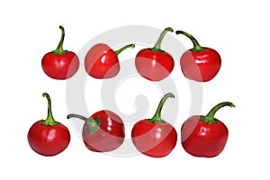 Cherry Big Bomb Pepper